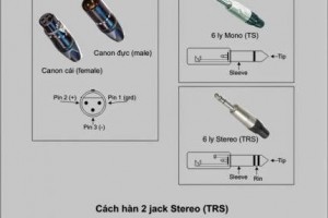 Các loại Jack cắm trong hệ thống thiết bị âm thanh chuyên nghiệp
